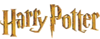 Merchoid Harry Potter – Couverture surdimensionnée Gryffondor à