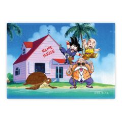 Dragon Ball: Kame House Magnet