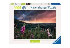 Power of Nature: A Storm is Coming Jigsaw Puzzle (1000 pieces)