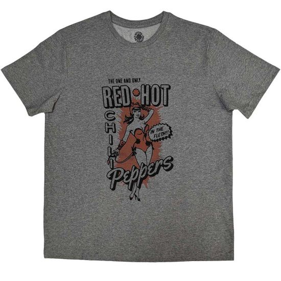 Red Hot Chili Peppers: In The Flesh - Grey T-Shirt