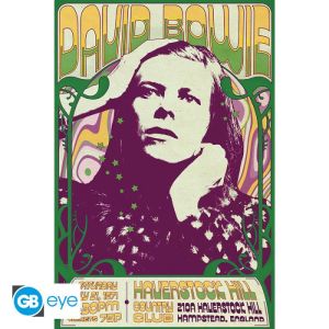 David Bowie: Haverstock Hill Poster Maxi (91.5x61cm) Preorder