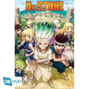 Dr. Stone: Groupe Maxi Poster Maxi 91.5x61 Preorder