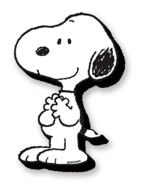 Peanuts: Snoopy Funky Chunky Magnets Preorder