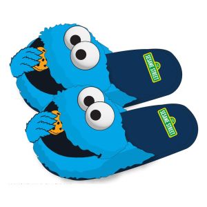 Sesame Street: Slippers S-M Preorder