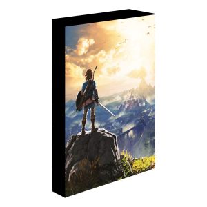 The Legend of Zelda: Into The Wilds Light Up Canvas