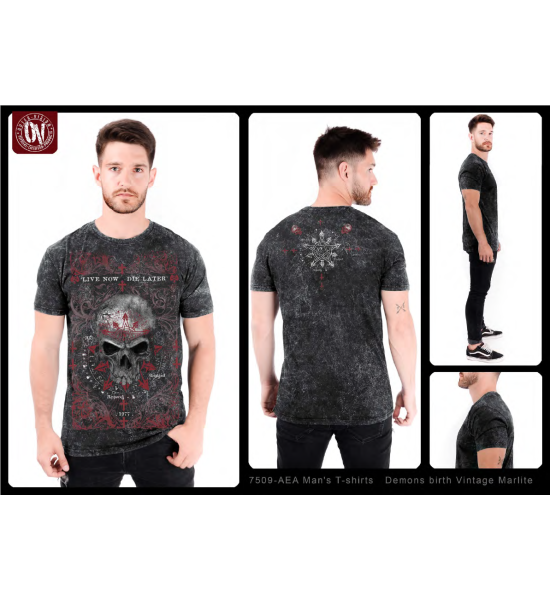 Alchemy: Demons Birth (T-Shirt)