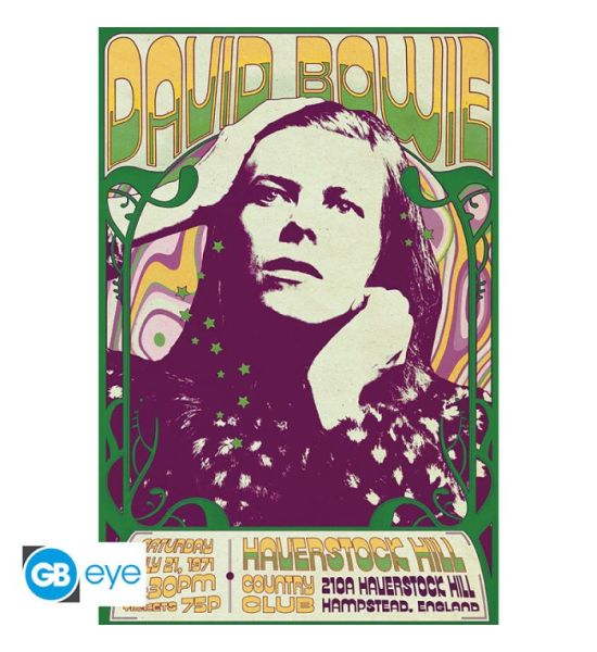 David Bowie: Haverstock Hill Poster Maxi (91.5x61cm) Preorder