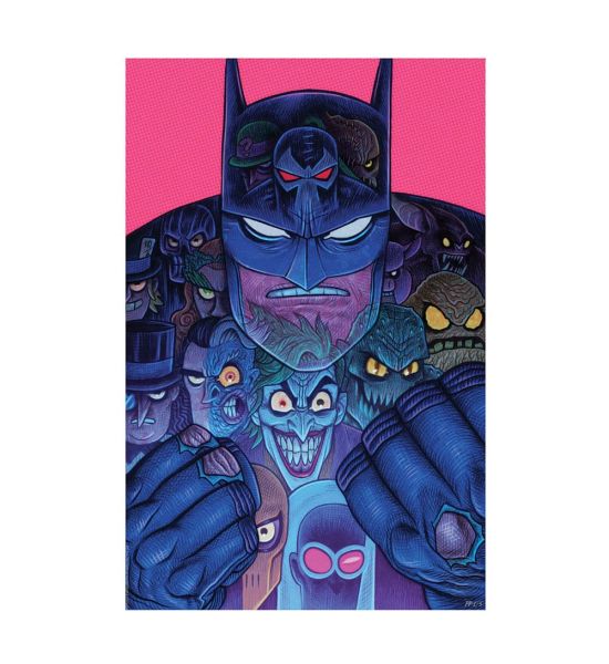 DC Comics: Batman & The Rogues Gallery Art Print (41x61cm) - unframed Preorder