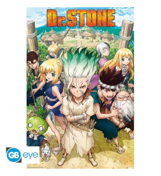 Dr. Stone: Groupe Maxi Poster Maxi 91.5x61 Preorder