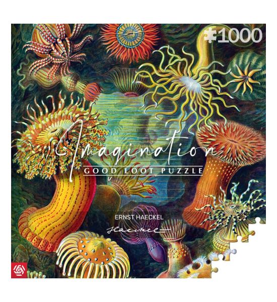 Ernst Haeckel: Sea Anemones/Stworzenia Morskie Imagination Puzzle (1000 pieces) Preorder