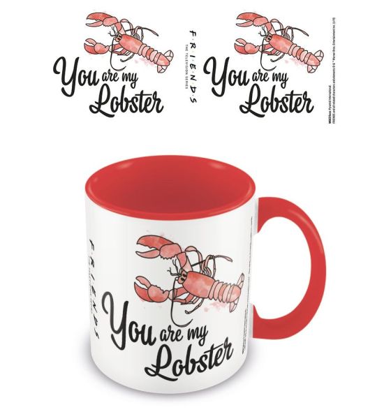 Friends: You are my Lobster Coloured Inner Mug Preorder