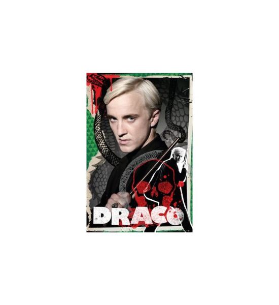 Harry Potter: Draco Maxi Poster (91.5x61cm)