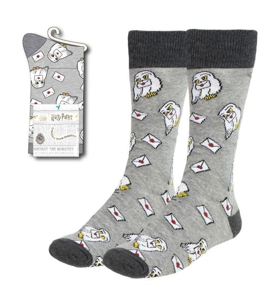 Harry Potter: Hedwig with Letter Socks (38-45) Preorder