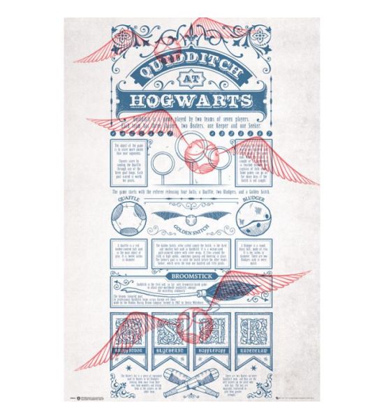 Harry Potter: Quidditch At Hogwarts Maxi Poster (91.5x61cm)