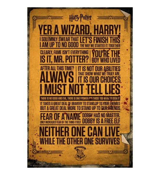 Harry Potter: Quotes Maxi Poster (91.5x61cm) Preorder