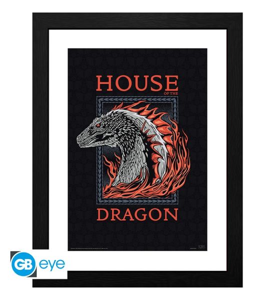 House Of The Dragon: 