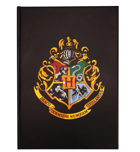 Harry Potter: House Pride Sticky Notes