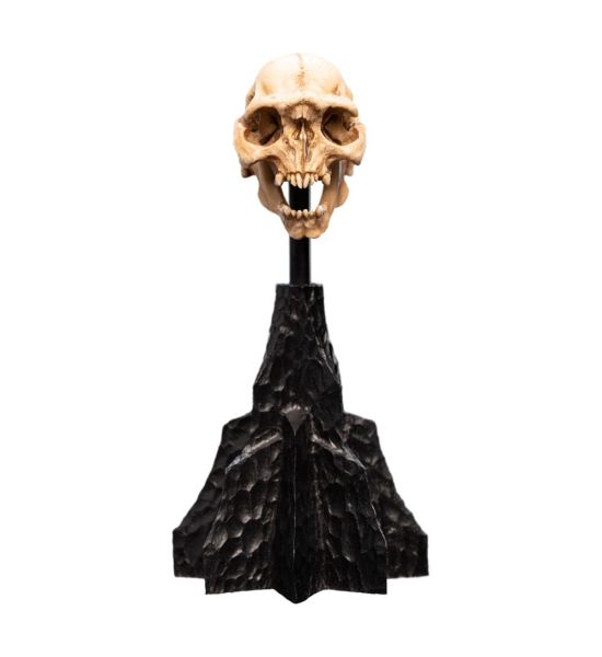 Lord of the Rings: Skull of a Moria Orc Mini Statue (13cm) Preorder