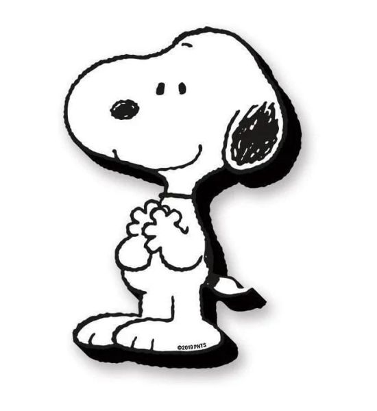 Peanuts: Snoopy Funky Chunky Magnets Preorder