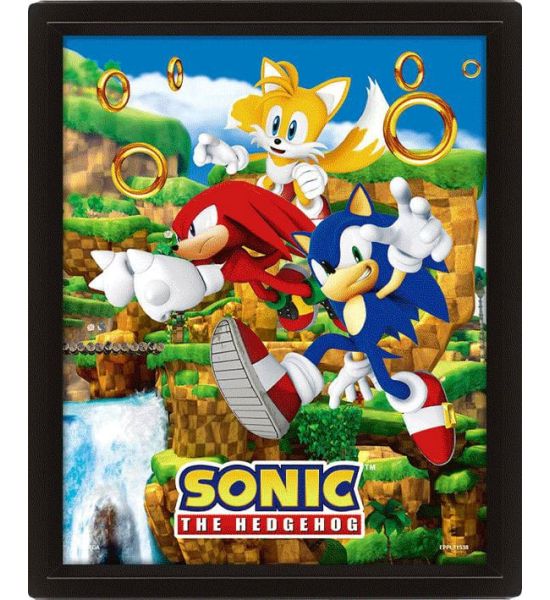 Sonic The Hedgehog: Catching Rings 3D Lenticular Poster (26x20cm)