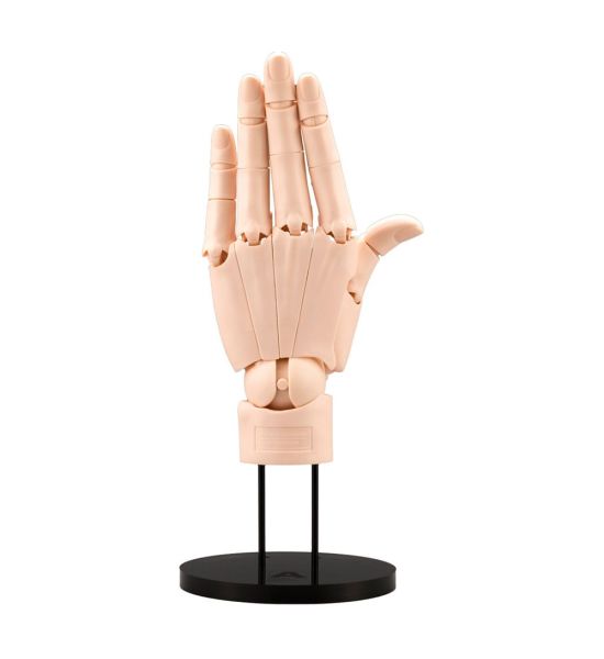 Takahiro Kagami: Hand 1/1 PVC Artist Support Item Model/L Pale Orange (21cm) Preorder