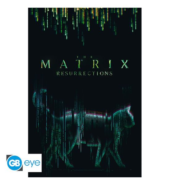 The Matrix: Cat Poster (91.5x61cm)