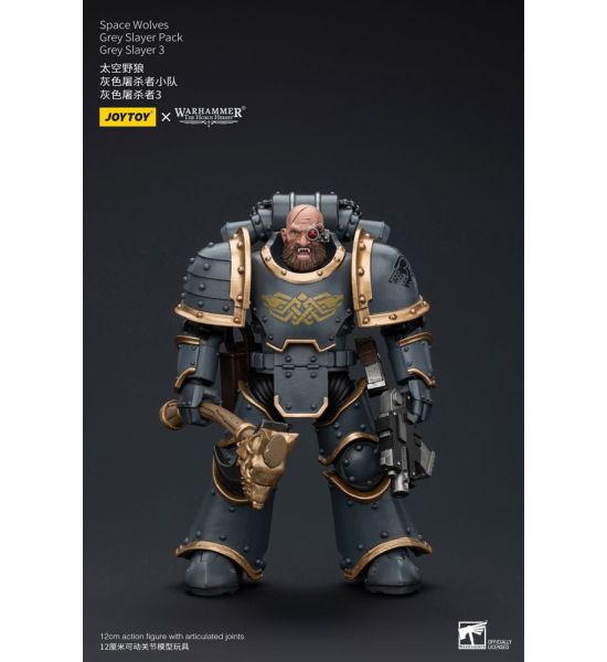 Warhammer: Space Wolves Grey Slayer Pack Grey Slayer 3 1/18 Action Figure (12cm) Preorder