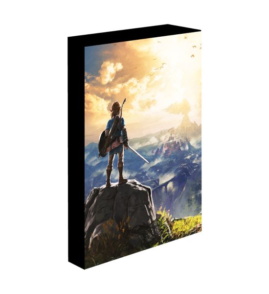 The Legend of Zelda: Into The Wilds Light Up Canvas