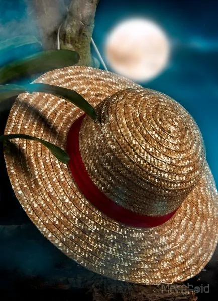 Straw Hat Cover